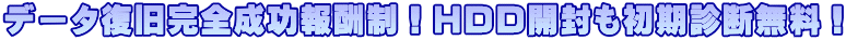 �f�[�^�������S������V���IHDD�J���������f�f�����I