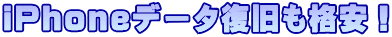 iPhone�f�[�^�������i���I